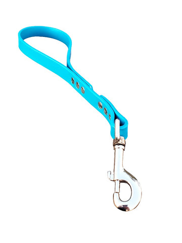Turquoise Bondage Control Leash