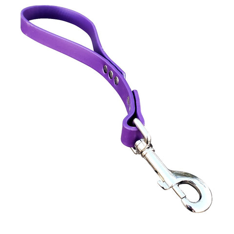 Purple Bondage Control Leash